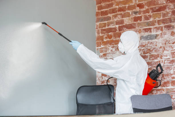 Best Water Damage & Mold Remediation  in Clayton, OH
