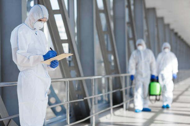 Best Mold Odor Removal Services  in Clayton, OH