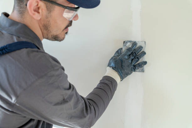 Best Industrial Mold Remediation  in Clayton, OH