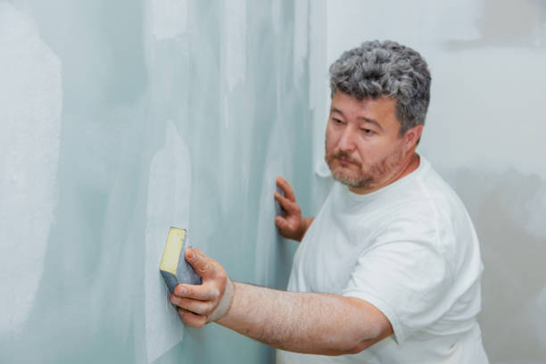 Best Mold Damage Restoration  in Clayton, OH