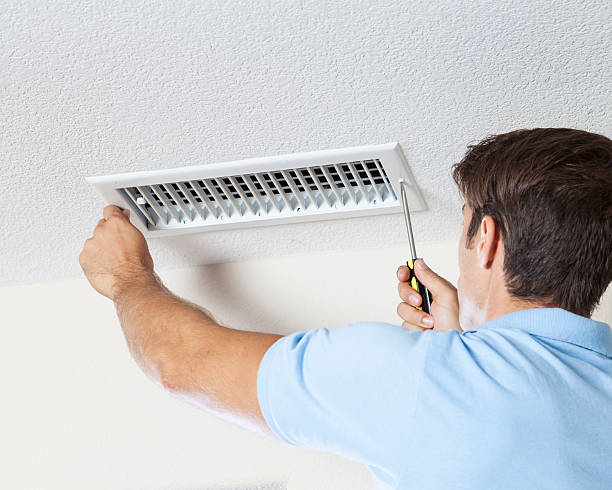 Best Black Mold Removal  in Clayton, OH